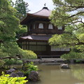 Photos: 銀閣寺