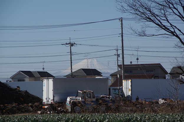写真: ちらっと見える富士山