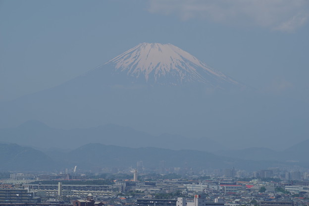 写真: 川越より大きな富士山