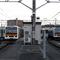 写真: キハ１１０系と２０９系（高麗川駅）