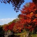 写真: じゅんさい池緑地　里の秋