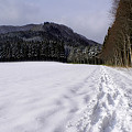 写真: トラピストの冬23-ルルドへの道