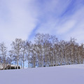 写真: 冬の青空IMG_5201a