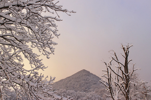 写真: 早朝の三角山IMG_5271b