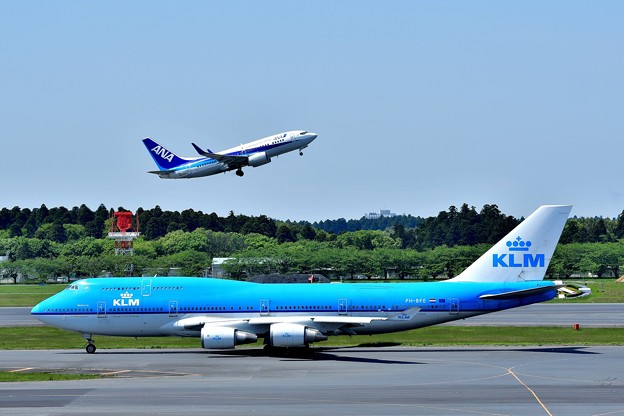 写真: KLM & ANA