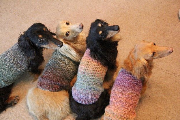 写真: ママの手編みだよ