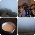 写真: 霧の朝