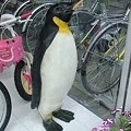 写真: 20100601　ペンギンサイクル