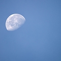 写真: 有明の月