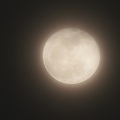 月の表面が微かに分かる朧月