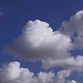写真: With the blue sky and white clouds 2010-01-08-5
