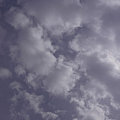 写真: 今日の空　綿雲　その二