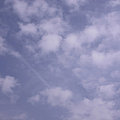 写真: 今日の空　綿雲　その一