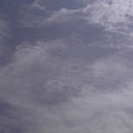 写真: 今日の空　蜂の巣状雲