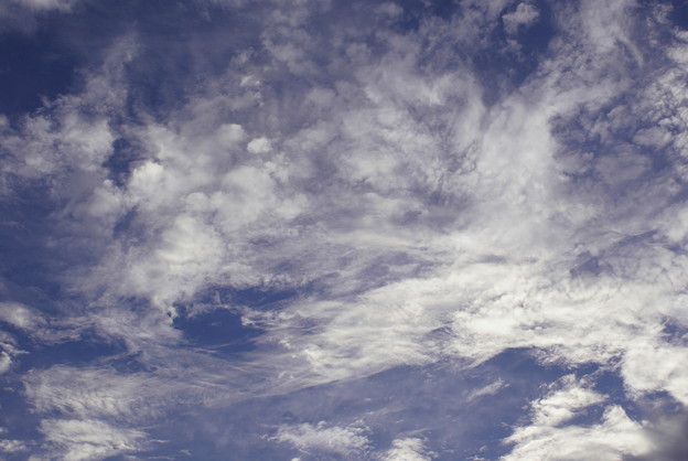 写真: 朝の雲たち　その二