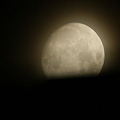写真: 月齢：11.2のおぼろ月