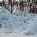 写真: 氷の壁２（氷点下の森）