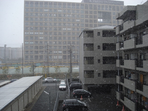 写真: 20101231 大阪の雪