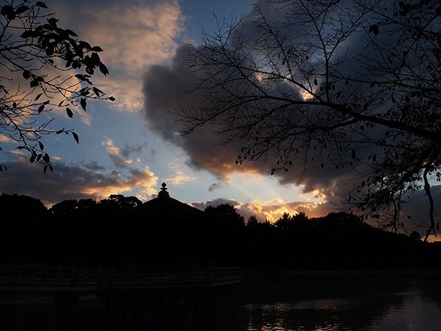 写真: 浮見堂夕景
