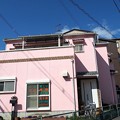 写真: ピンクの家