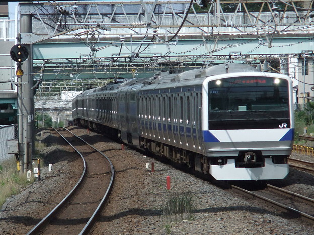 写真: 常磐線・上野東京ラインE531系　K401編成他15両編成