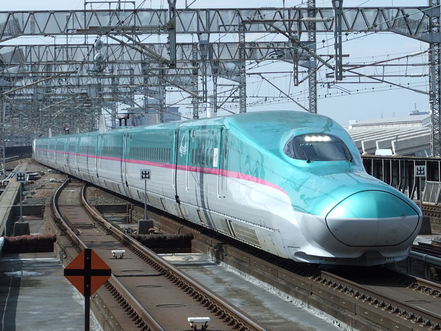 写真: 東北新幹線E5系　U31編成他17両編成