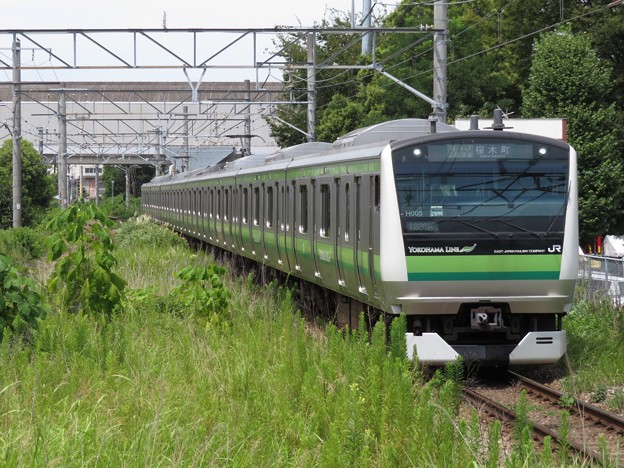 横浜線E233系6000番台　H005編成