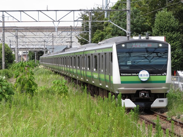 写真: 横浜線E233系6000番台　H001編成【横浜線開業110周年HM】