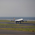 写真: ルフトハンザ航空フランクフルト便A340-313?