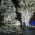 写真: Shinjuku_Southern-Lights 2(091115)