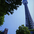 写真: 横浜マリンタワー