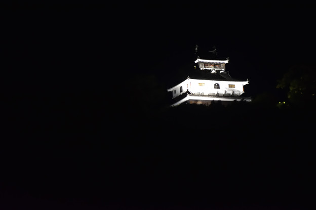 写真: 夜の岩国城