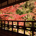 楽山荘庭園の紅葉　1