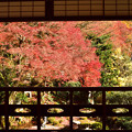 楽山荘庭園の紅葉　2