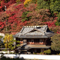 楽山荘と紅葉