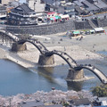 写真: 城から錦帯橋