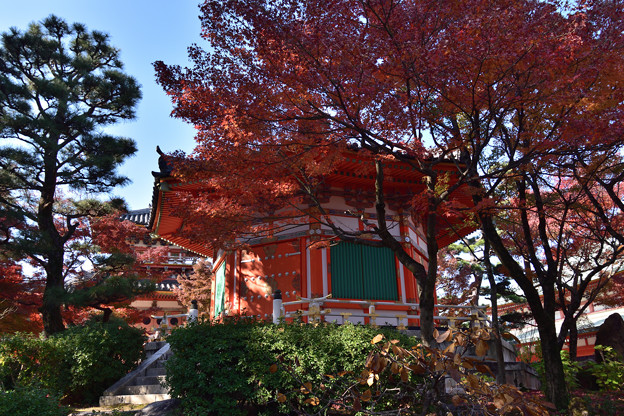 写真: 八角円堂と紅葉