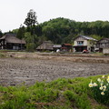 写真: 荻ノ島かやぶき集落