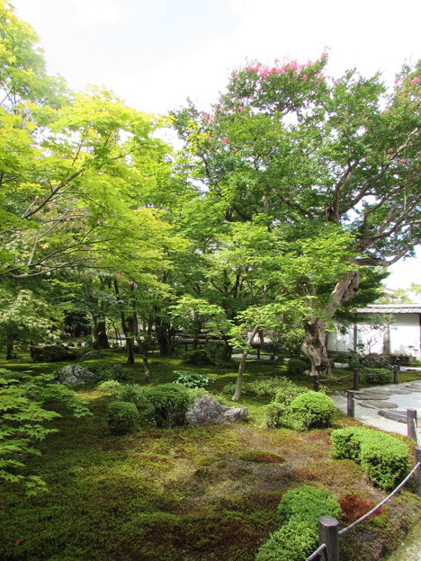 写真: 圓光寺・十牛の庭2