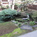写真: 万年青の縁庭園（右側）2