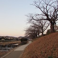 高野川冬景色2