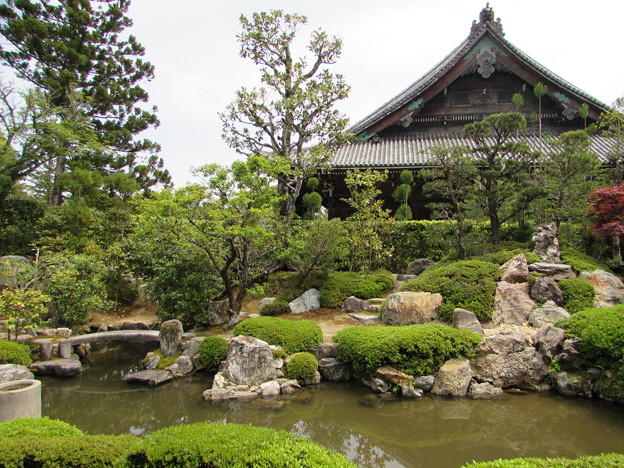 Photos: 薬師寺庭園1