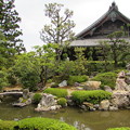 Photos: 薬師寺庭園1