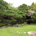 写真: 菊水・庭園2