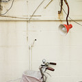 写真: ランプと自転車