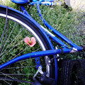 写真: 倒れた自転車