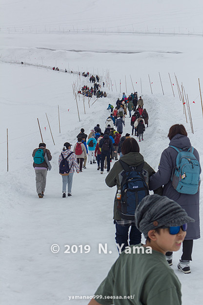 写真: 雪の大谷ウォーク 2019