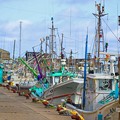 写真: １．外川漁港の漁船Ａ