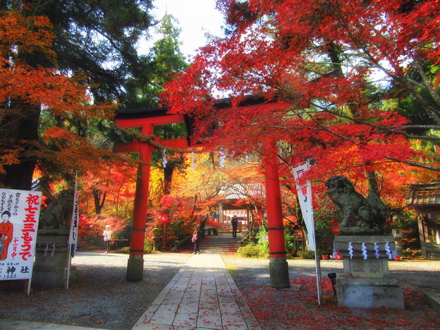 写真: 鍬山神社の紅葉