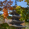 写真: 秋の五重塔